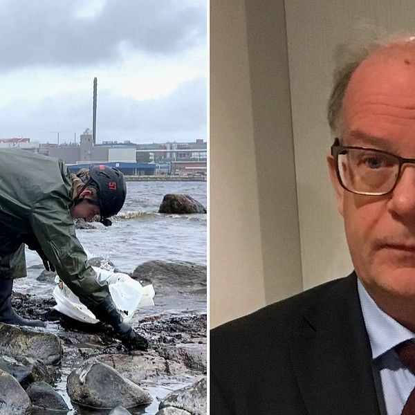 Oljesanering längs kusten i Husum. Stig Andersson, åklagare.