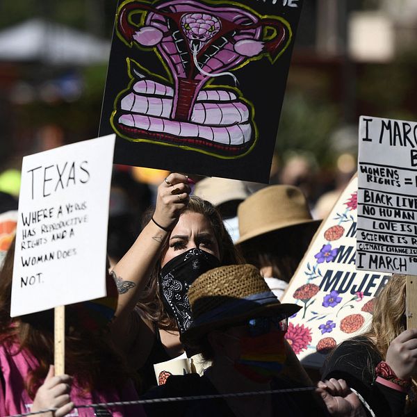 Demonstranter i Kvinnormarschen i Los Angeles på lördagen.