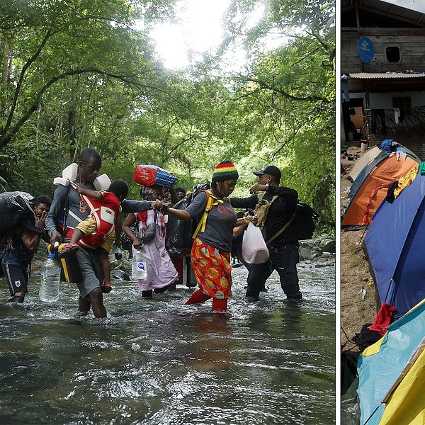 Migranter korsar Darien-djungeln där farorna är många.