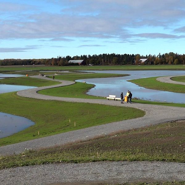 Översikt av våtmarksparken på Johannisberg i Västerås.