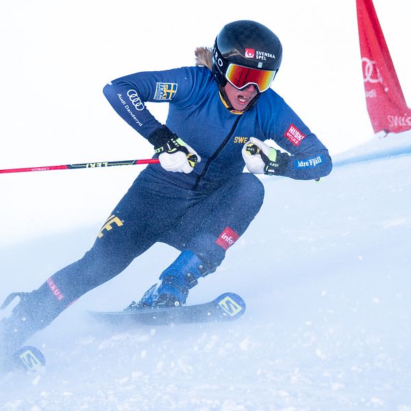 Sandra Näslund, skicross.