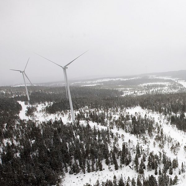 vindkraftverk i skogsmiljö