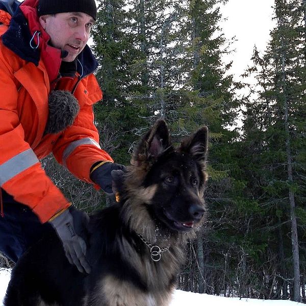 En polis i röd jacka håller i en hund.