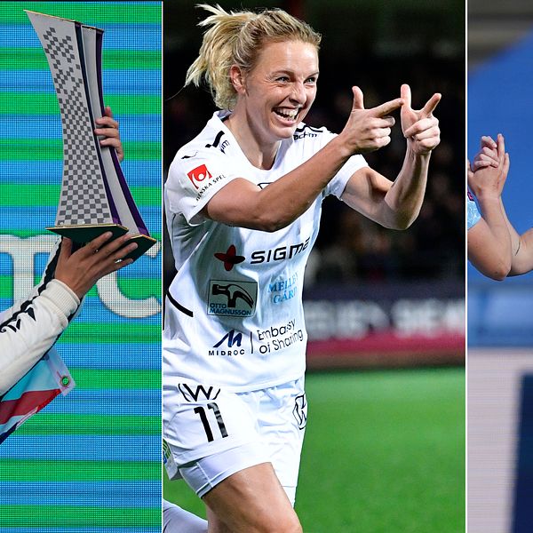 W Series, damallsvenskan och Women's Super League är tre exempel på damidrottens frammarsch.