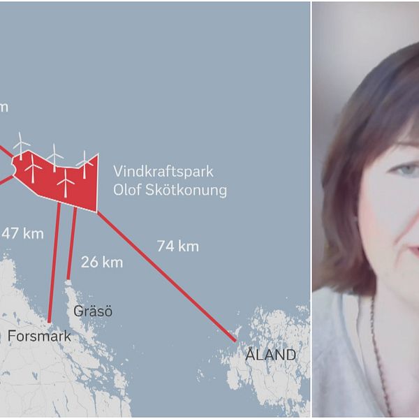 Tvådelad bild. Karta över Östersjön utanför Gävle. Porträtt på kvinna med mörkt kortklippt hår.