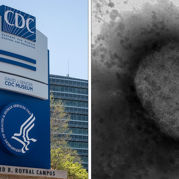 USA:s smittskyddsmyndighet CDC bredvid en bild på apkoppeviruset sett i ett mikroskop.