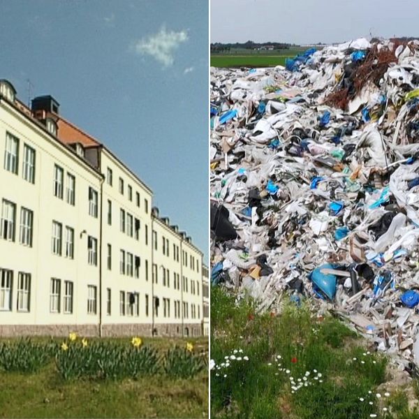 Bilden på anstalten Kolmården och på ett sopberg.