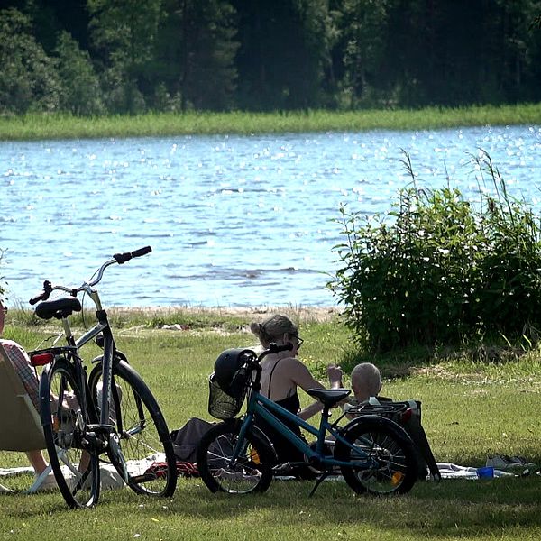 En familj som sitter på en gräsmatta vid en sjö.