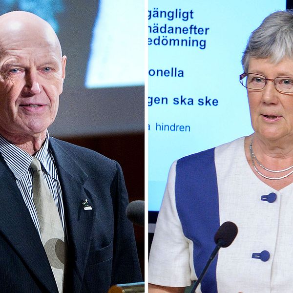 tidigare biståndsministern Pierre Schori (S) och Lena Hjelm-Wallén, före detta utrikesminister (S).