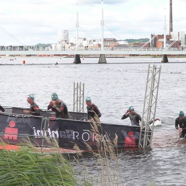 Triathlon-simmare på väg upp från en sjö på en ramp.