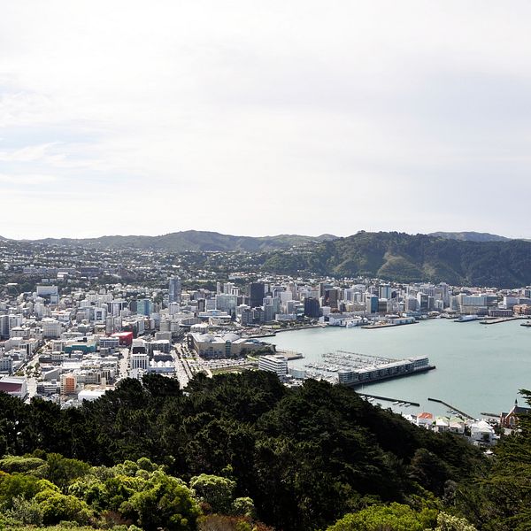 Vy över Wellington, Nya Zeeland