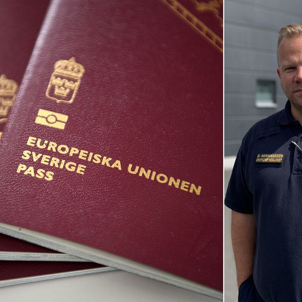 Tre svenska passböcker.