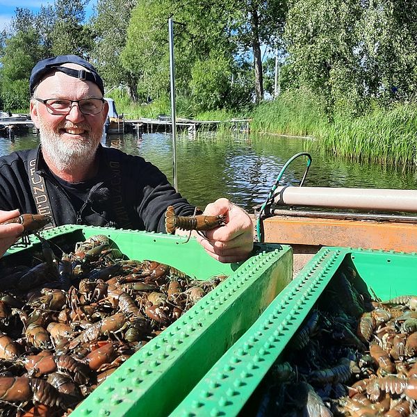 Årets kräftfiskepremiär i Vadstena närmar sig SVT Nyheter