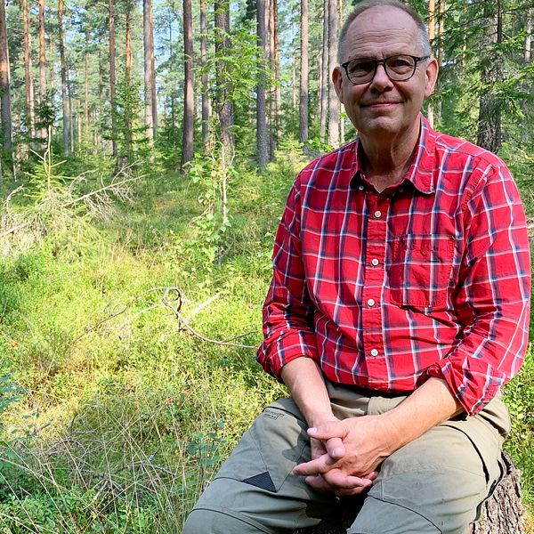 Skogsägaren Leif Öster utanför Avesta ”Finns goda möjligheter att