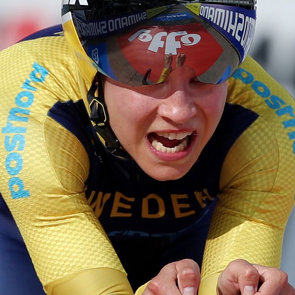 Cykel CykelVM i Australien linjelopp herrar SVT Sport