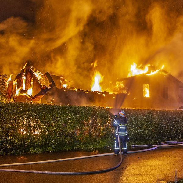 brandman sprutar vatten över en häck på ett hus som är helt övertänt