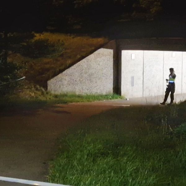 En mörk gräsmatta, gångväg som leder ner mot en ljus tunnel. En polis i uniform står i tunneln.