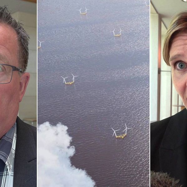 Tredelad bild: Porträtt av Bengt Nises, medelålders man. Flygbilder över vindkraftverk mitt i havet, moln i förgrunden. Porträtt av Helena Nordholm, medelålders kvinna