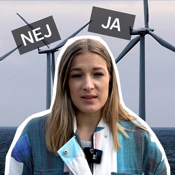 Ett kollage med vindkraftverk i bakgrunden, en inklippt bild på en kvinna och två plattor där det står ja och nej.