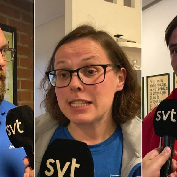 Marcus Hellström (L), Polina J Larsson (KD) och Niklas Evaldsson (V).