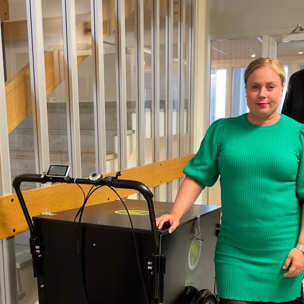 MP-profiler vill se en partiledare i stället för två språkrör | SVT Nyheter
