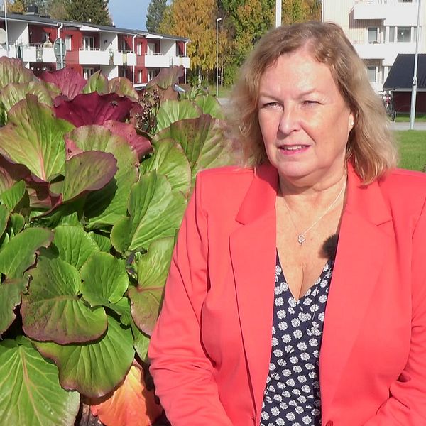 Kristina Axelsson, Centerpartiets gruppledare i Sorsele, står utomhus i solskenet och kommenterar faktumet att bara fyra partier är representerade i kommunfullmäktige i Sorsele.
