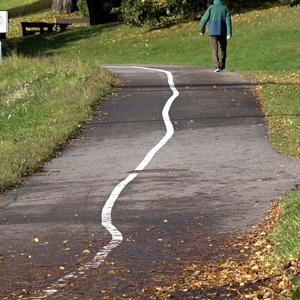 En bild på en gång- och cykelväg där det vita strecket som ska skilja dem åt kringlar sig snett fram.