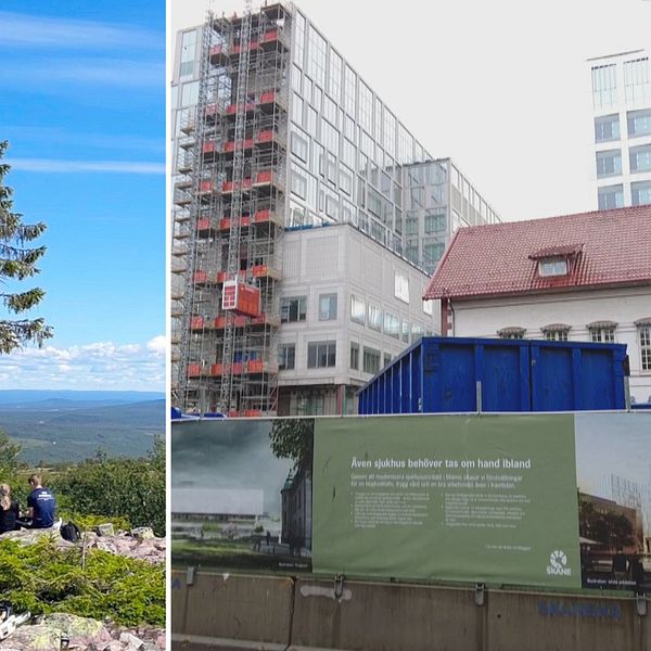 ett jättegammalt träd som står på Fulufjället i Dalarna, som kallas Old Tjikko. Och till höger är en annan bild från bygget av Malmö nya sjukhus.
