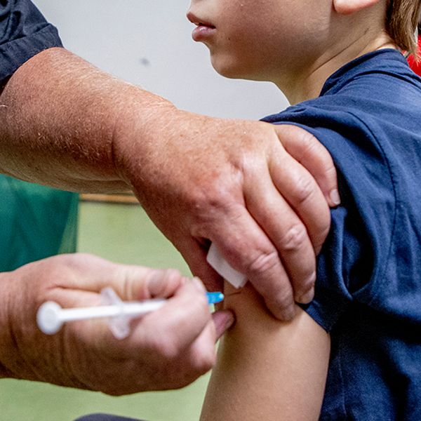 Barn vaccineras. Barnvaccination.