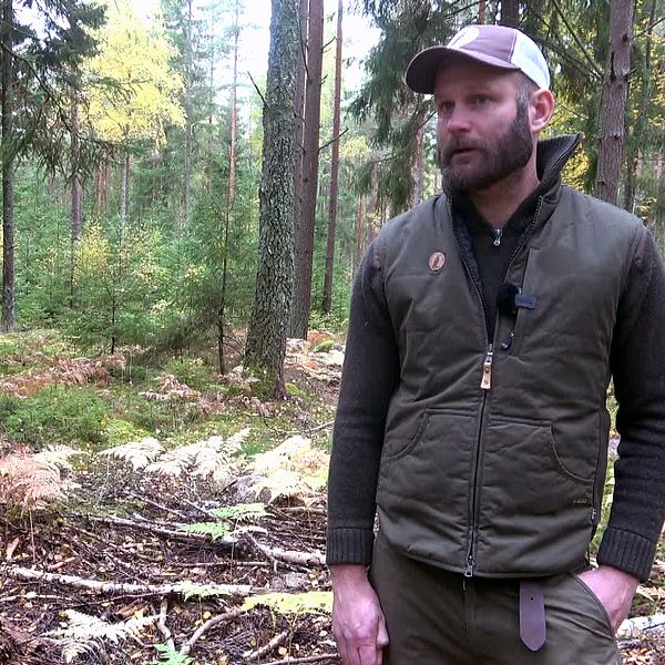 Johan Stedt, på Jägareförbundet i skogen