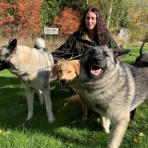 Johanna Karlsson utomhos med sina hundar i sitt hem i Nora