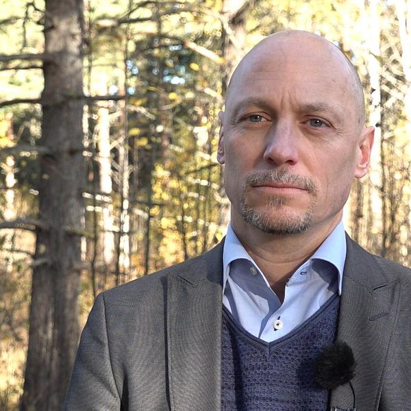 Bild på Daniel Vesterhav, enhetschef på Brå. Han tittar lite vänster om kameran. Han har rakat huvud och kort skägg samt kort mustasch. I bakgrunden skymtar en höstig och solig skog.