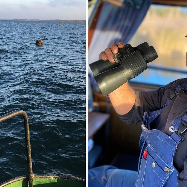 Tony Jakobsson spejar med en kikare över vattnet från förarhytten i sin båt. Till vänster i bild syns en av de sjöminor han upptäckte under en båtfärd.