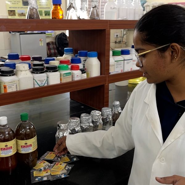 Mitali Masram, forskare vid Statens forskningsinstitut för jordbruk i Indien, jobbar med utveckling av sprejen.
