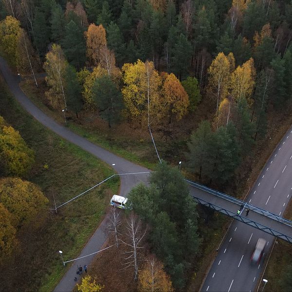 Drönarbilden visar avspärrningstejpen intill gångbron och genom skogen efter dödsskjutningen i Sandviken.