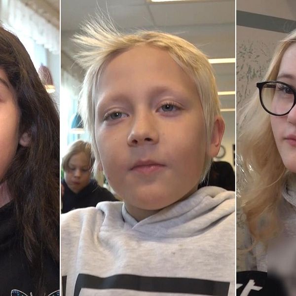Porträttbilder på tre barn på Södermalmsskolan i Lycksele som säger vad de tycker om debatten om skolmaten i kommunen.