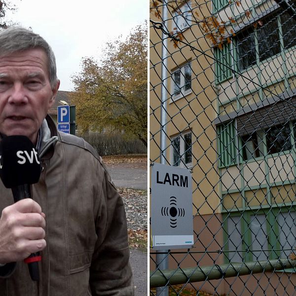 en man som är reporter på SVT står och pratar och håller i en SVT-mikrofon. Han heter Torbjörn Påhlman. På bilden till höger syns rättpyk i Säter.