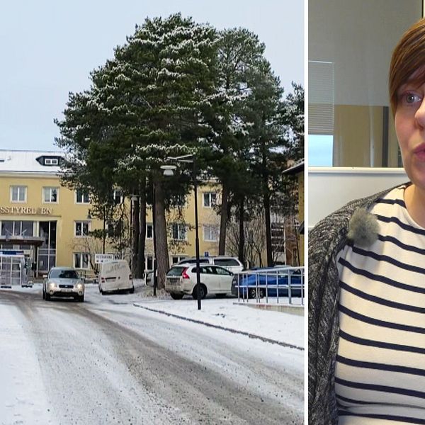 Anna Palmgren Vahlroos, Länsstyrelsen Norrbotten, intervjuas av SVT om investeringsstödet som slopas i nya budgeten.