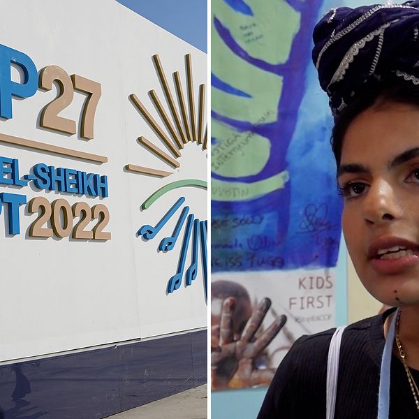 Kvinna och skylt från COP27
