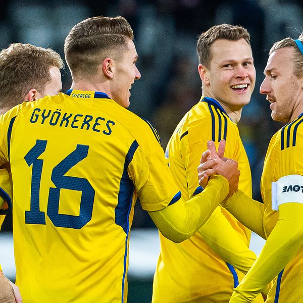 Sverige vann årets sista landskamp.