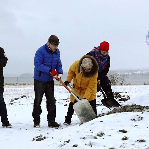 Fem personer med spadar står och gräver i marken vid Storsjöns strand.