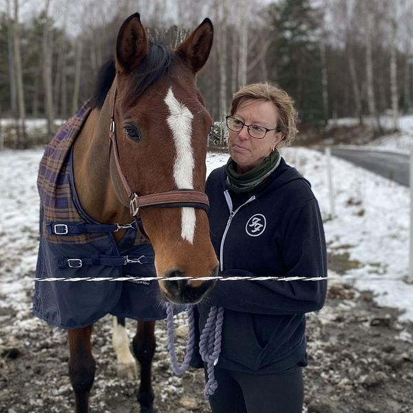 SVT träffade ridskoleeleven Ellis Room med hästen Gucci. Som barn blev hon rädd för att rida och slutade med hästar. I klippet berättar hon vad Arvika Ridklubb gjort för henne.