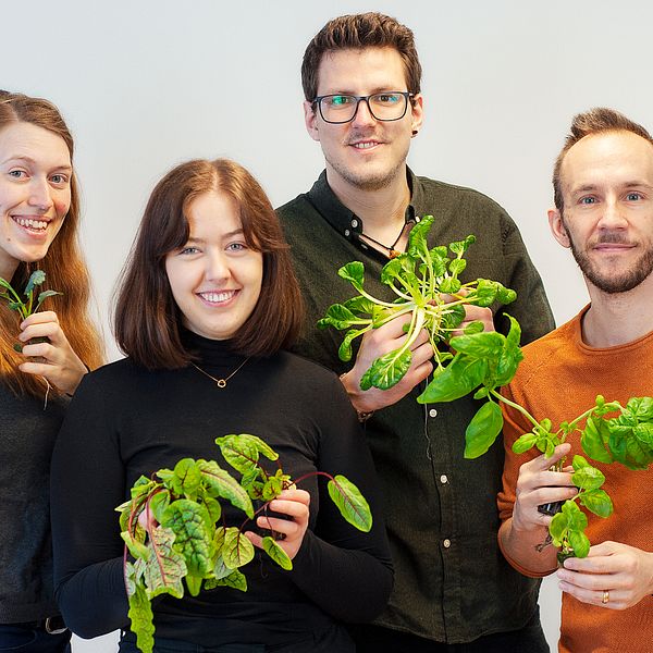 Ellinor Emilsson, Moa Johansson, Adrian Arrosamena Mellgren och Andreas Eklund prisas internationellt för deras odling som tar vara på spillvärme från en serverhall i Luleå.