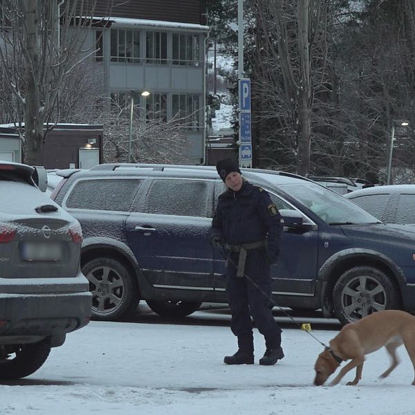 Polishund söker på platsen i Bosvedjan