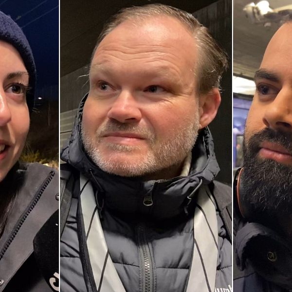 Miriana Quattromani, Anders Svensson och Amar Zehir har alla starka åsikter kring ett eventuellt återinförande av hårdare gränskontroller mellan Sverige och Danmark.