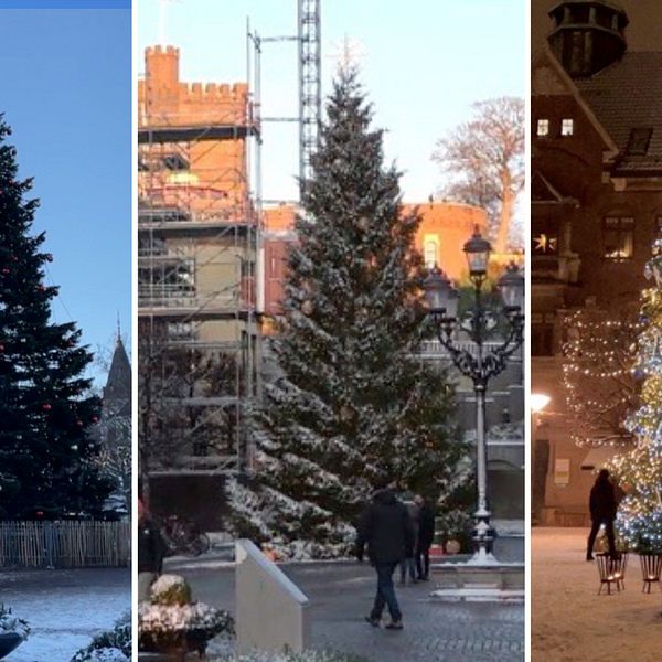Tredelad bild på julgran i Malmö, Helsingborg och Lund 2022