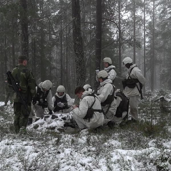 Soldater i vinterkamouflage i skog, diskuterar karta och strategi.