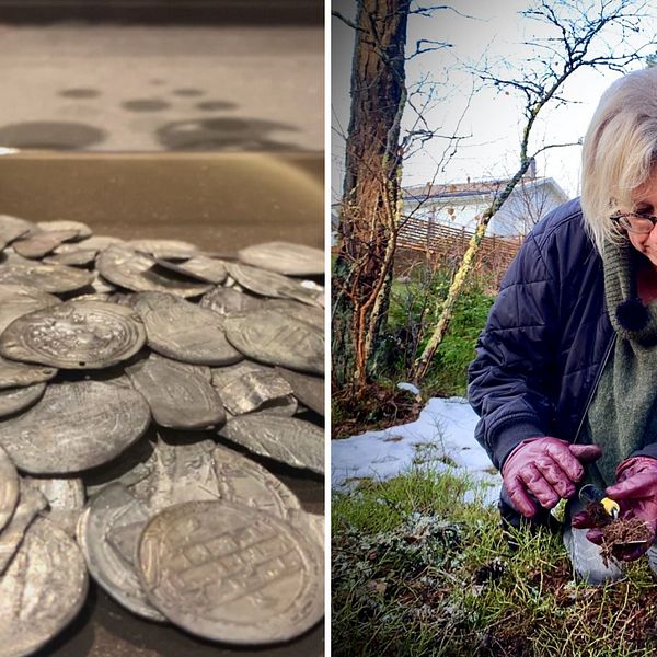 Arkeologen Louise Evanni sitter på huk på platsen där hon en gång fann den så kallade Sundvedaskatten, 452 silvermynt begravda av vikingar.