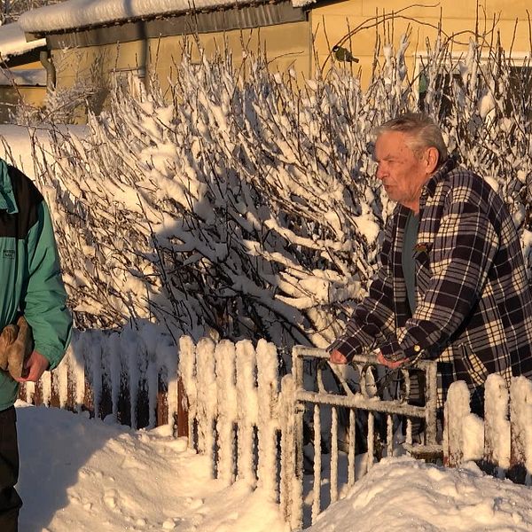 Pensionären Gunnar Englund i Vänsjö står och småpratar med sin granne. De är två äldre män, snötäckt mark, staket och buskar i solsken.