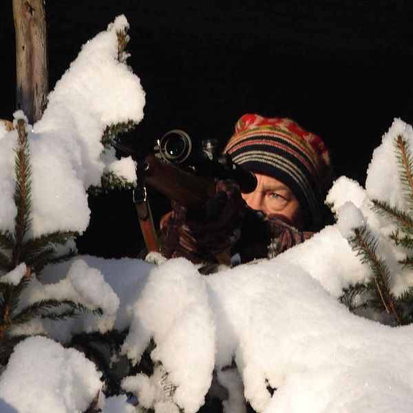 Jägaren Ola Karlsson från Karlskoga med ett gevär i en snödunge i skogen siktandes